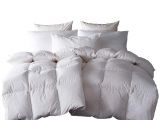 Fill Power Down Comforter Chart Amazon Com Snowman White Goose Down Feather Blend Comforter Queen