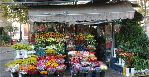 Floristerias En San Salvador Youtubetaller Gratis Floristeria Floristeria En San