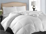 Fluffiest Down Alternative Comforter Fluffy Down Alternative Hypoallergenic Ultra soft Duvet