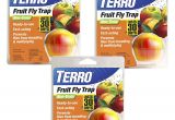 Fruit Fly Bar Pro Amazon Com Terro Fruit Fly Trap T2500 Home Pest Control Traps