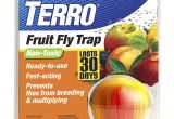 Fruit Fly Bar Pro Amazon Com Terro Fruit Fly Trap T2500 Home Pest Control Traps