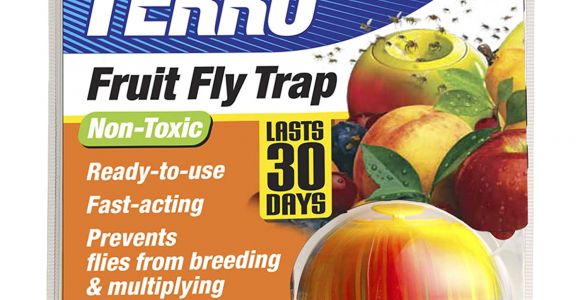 Fruit Fly Bar Pro Amazon Com Terro Fruit Fly Trap T2500 Home Pest Control Traps