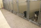 Good Flooring for Dog Kennel Dog Kennel Flooring Kenneled Dogs Floors