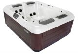 Hot Tub Ozonator Pros and Cons Bullfrog Hot Tubs Review for some Series with Pros and Cons