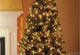 How to Restring A Pre Lit Christmas Tree Best 28 How to Restring Lights On A Prelit Christmas