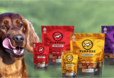 Is there A Dating Site for Animal Lovers Purpose Pet Food that Reflects the Values Of Animal Lovers by