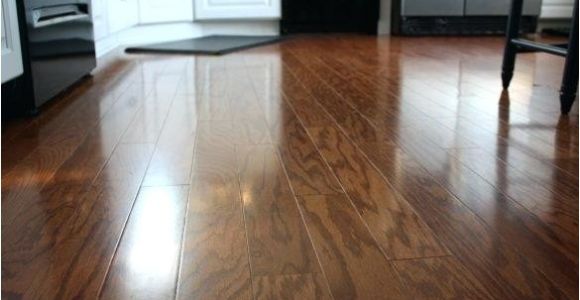 Laminate Flooring Dog Pee Laminate Flooring with Dogs Daring Best Laminate Flooring