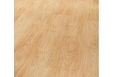 Laminate Wood Flooring with Dogs Laminate Wood Flooring Dogs Video and Photos