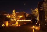 Light the Night Phoenix Las Noches De Las Luminaries Desert Botanical Gardens Phoenix