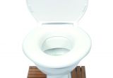 Most Comfortable toilet Seat Uk Big John toilet Seat Additional Aids Mobility Function