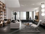 Muebles En Dallas Texas Home Interior Fashionable Design Modern Living Room Interior with