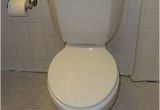 Niagara Stealth toilet Review Niagara N7717 Stealth toilet Review with Pictures and