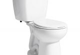 Niagara Stealth toilet Review Niagara Stealth 10 In Rough In 2 Piece 0 8 Gpf Single