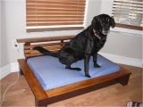 Orvis Bedside Platform Dog Bed orvis Pet Beds Cvs Dog Beds Dog Beds U Gallery Dog