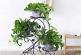 Outdoor Plant Stands Walmart Hlc 3 Tier Metal Plant Stand Garden Patio Flower Pot Rack Modern S