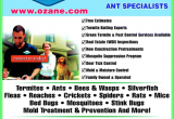 Ozane Pest Control toms River Nj Ozane Termite Pest Control toms River Nj 08755