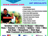 Ozane Pest Control toms River Nj Ozane Termite Pest Control toms River Nj 08755