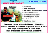 Ozane Pest Control toms River Nj Ozane Termite Pest Control toms River Nj 08755