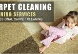 Personal touch Carpet Cleaning Carpet Cleaning York Pa 717 848 2064