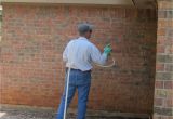 Pest Control In Abilene Tx Pest Exterminator Abilene Tx andrew Turnbull