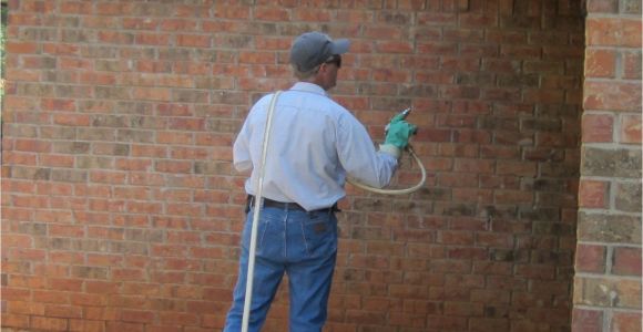 Pest Control In Abilene Tx Pest Exterminator Abilene Tx andrew Turnbull