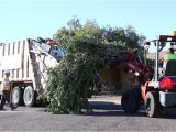 Phoenix Bulk Trash Pickup by Address Bulk Trash is Coming to Your Neighborhood