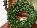 Preserved Boxwood Wreath wholesale Preserved Garden Boxwood Wreath 14 Quot Flora Decor