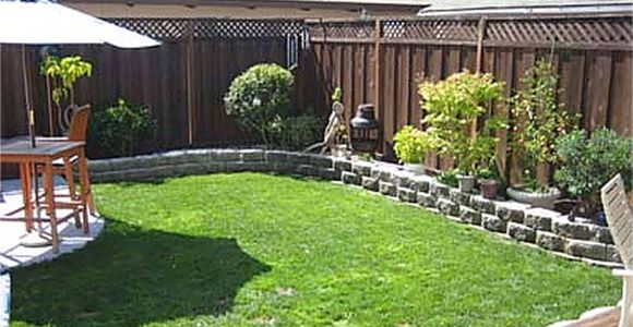 Privacy Fence Ideas for Backyard 34 Lovely Seven Very Cheap Garden Fence Ideas Ideas