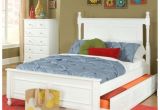 Queen Size Pop Up Trundle Beds for Adults Furniture Magnificent Trundle Beds for Adults Give You