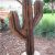 Southwest Metal Yard Art Saguaro Cactus Yard Art Medium Lema 39 S Kokopelli Gallery