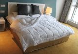 The Fluffiest Down Alternative Comforter 79 Off On Amor Amore White soft Fluffy Reversible Down