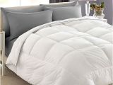 Top Rated Goose Down Comforters 10 Best Down Comforter Reviews top Rated Goose Down