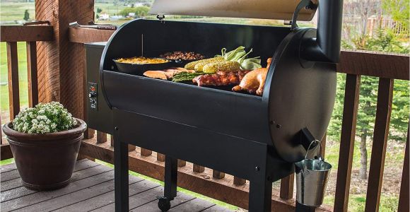 Traeger Renegade Elite Price Traeger Renegade Elite Grill Reviews Grilling Your Way to