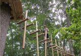 Tree toppers Dade City Giveaway Four Tickets to Treehoppers Adventure Park In