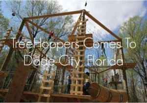 Tree toppers Dade City Treehoppers Comes to Dade City Florida