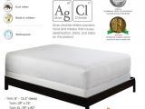 Twin Mattress Vs Twin Xl Amazon Com Purecare Premium 5 Sided Mattress Protector Waterproof