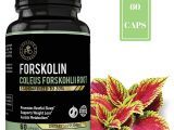 Ultra Trim 350 Pure forskolin Amazon Com Ipro organic Supplement forskolin Coleus forskonlil Root