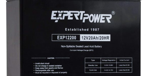 Various Types Of Batteries Used In Ups and Inverters and their Maintenance Amazon Com Expertpower Exp12200 12v 20ah Lead Acid Battery Automotive