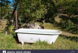 Water Trough Bathtub Ideas Bathtubs Outstanding Water Trough Bathtub Pictures Cool