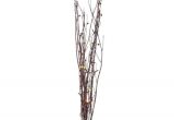 White Birch Branches Hobby Lobby 49 Best Images About Prom 2016 On Pinterest Bottle Vase