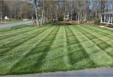 Winning Colors Grass Seed Sharpe 39 S Lawn Equipment Holganix Really Works Our